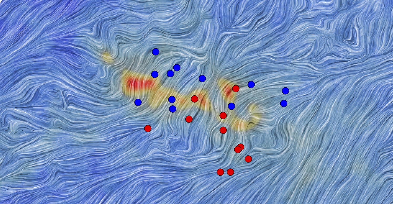 Cosmic Magnetism Research